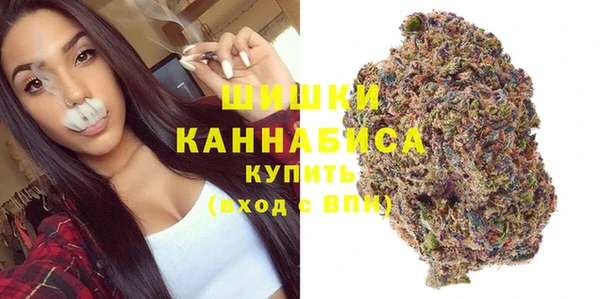 молекула духа Бугульма