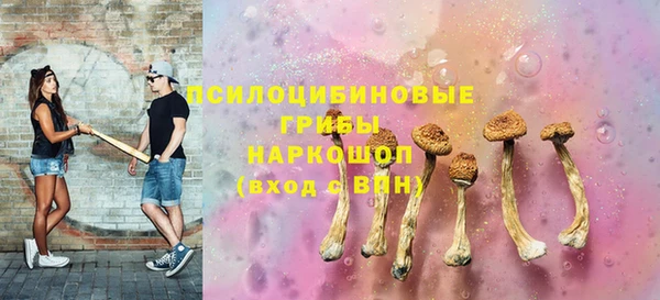 альфа пвп Бородино