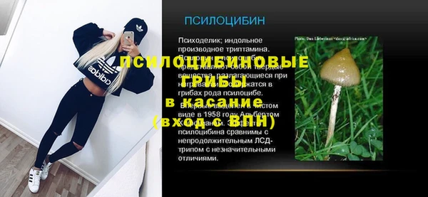молекула духа Бугульма